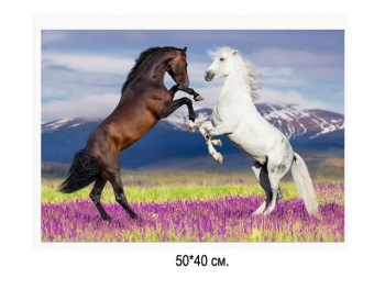 Алмазная мозаика арт. GLE76312/MD5112 Лошади 40*50 полная выкладка на подрамнике