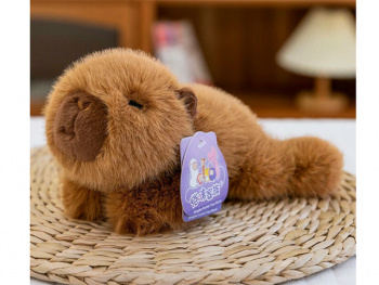 им Капибара арт. YE250910-3-5 Лежит в пак.)