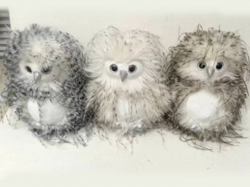 им Сова арт. 209070 Мохнатая белое брюшко 25 см цвета микс в пак.